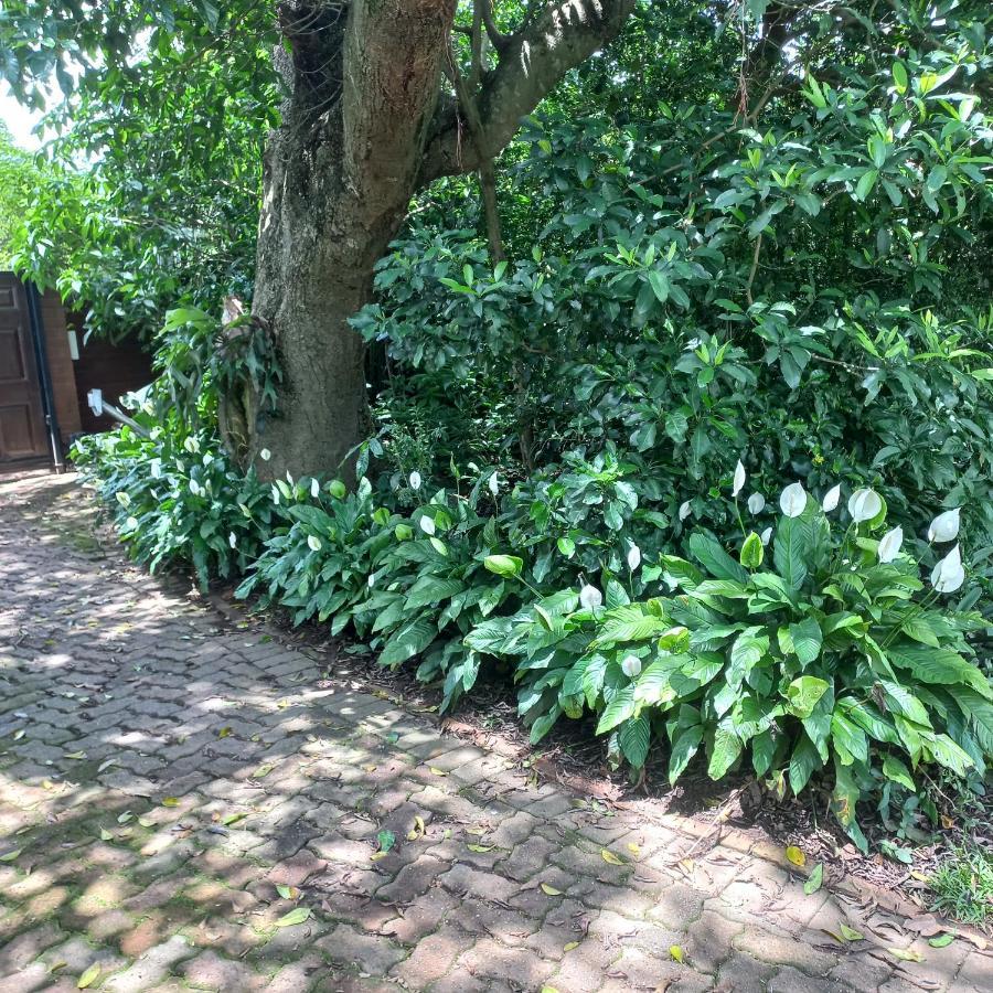 18 Pioneer Bnb Kloof Exterior foto
